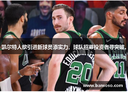 凯尔特人欲引进新球员添实力，球队招募投资者寻突破。